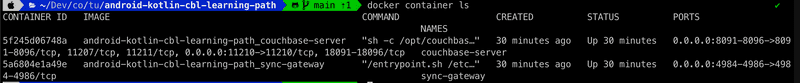 Docker Terminal 