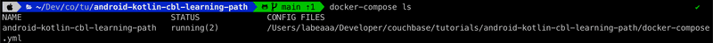 Docker Compose Terminal 