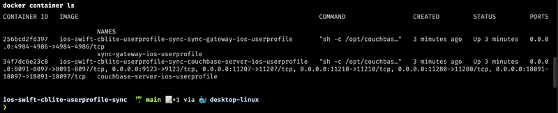 Docker Terminal 