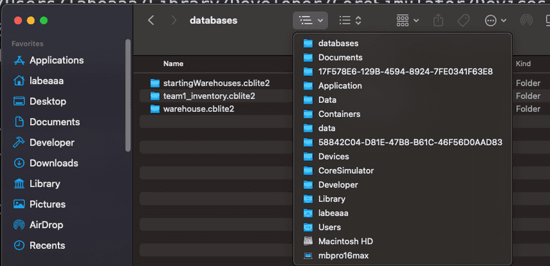 Finder file listing